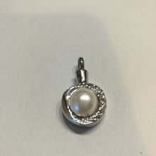 Lade das Bild in den Galerie-Viewer, Asche Anhänger Schildkröte