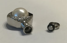 Lade das Bild in den Galerie-Viewer, Asche Anhänger Schildkröte