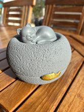 Lade das Bild in den Galerie-Viewer, Urne CAT résine
