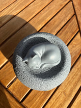 Lade das Bild in den Galerie-Viewer, Urne CAT résine
