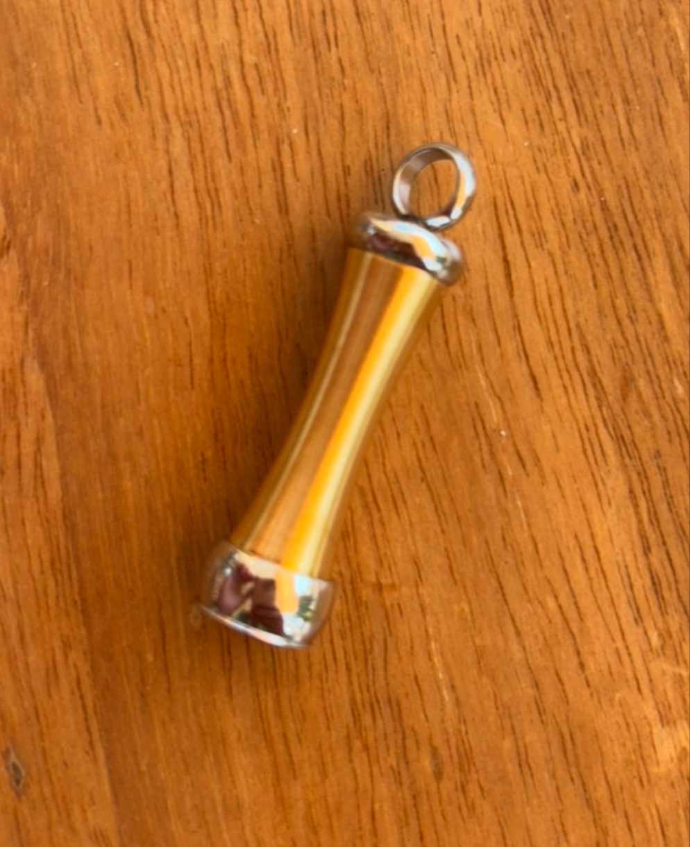 Asche Anhänger Schildkröte ULIA