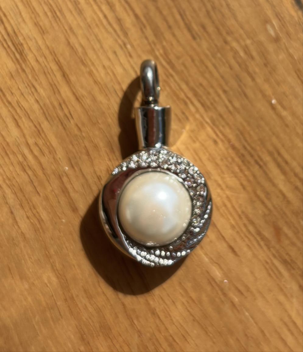 Asche Anhänger Schildkröte