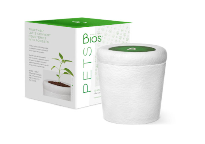 urne bios pour animaux