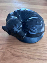 Lade das Bild in den Galerie-Viewer, urne chien en résine
