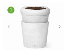 Lade das Bild in den Galerie-Viewer, urne cineraire bios
