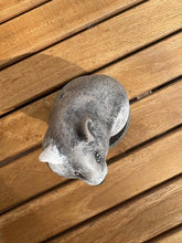 Lade das Bild in den Galerie-Viewer, Urne Pour Hamster Figurine - photo 5
